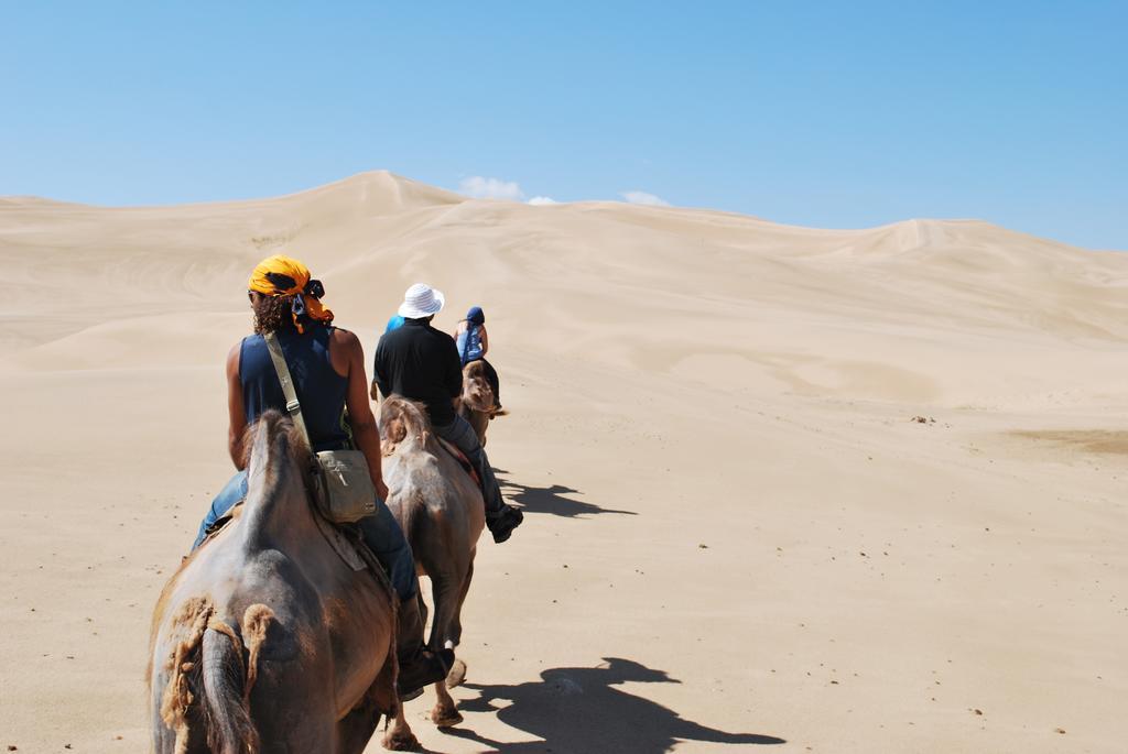Golden Gobi Hostel & Tours Oulan-Bator Extérieur photo