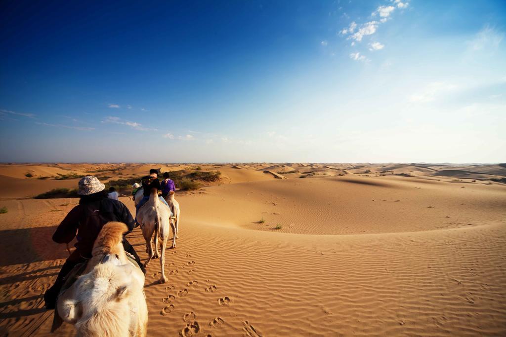 Golden Gobi Hostel & Tours Oulan-Bator Extérieur photo