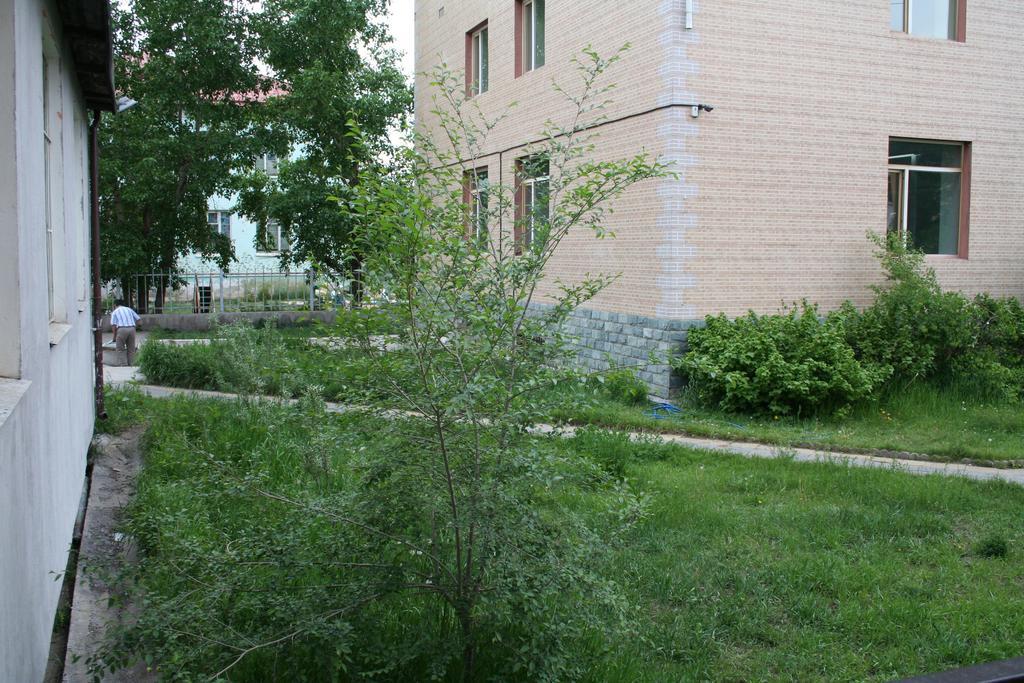 Golden Gobi Hostel & Tours Oulan-Bator Extérieur photo